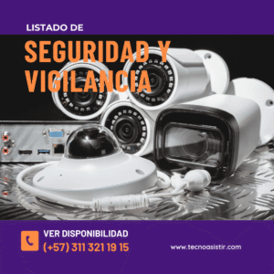 Seguridad y Vigilancia